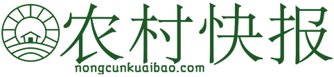 农村快报